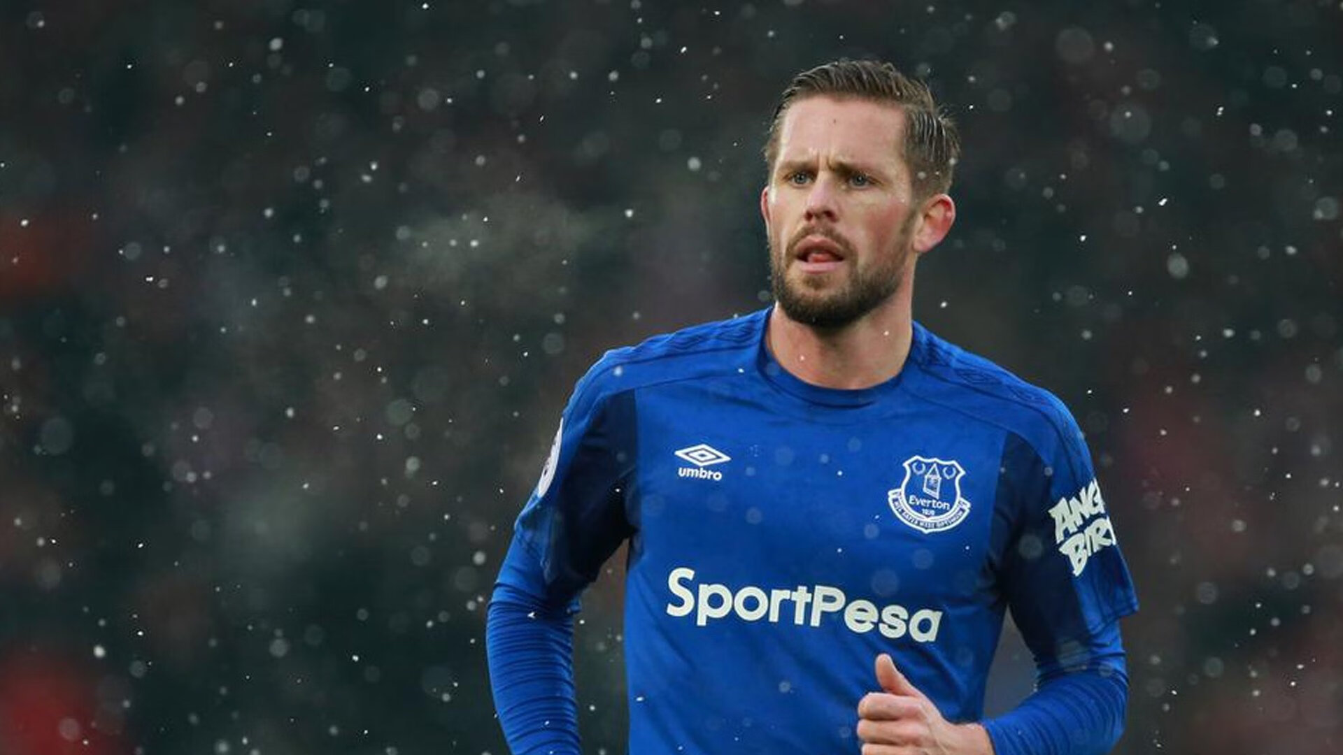 快船队球队年轻力量迅速崛起，快船球队阵容